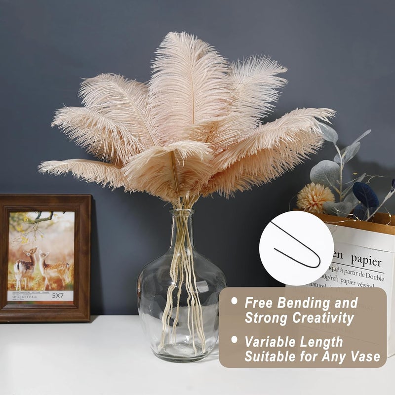 Holmgren Champagne Large Ostrich Feathers - 20pcs Making Kit 22 Inch Boho Feather Decor for Vase, Floral Arrangement, Wedding Party Centerpieces Home Decorations（Champagne） - Image 2